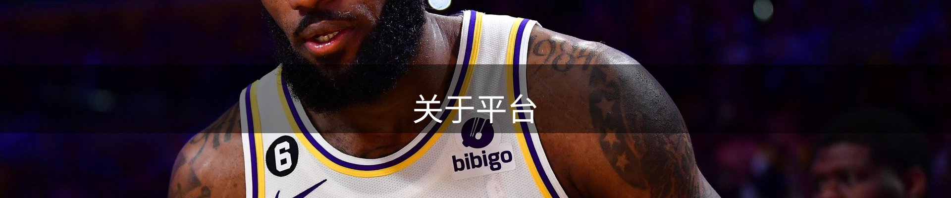 关于平台